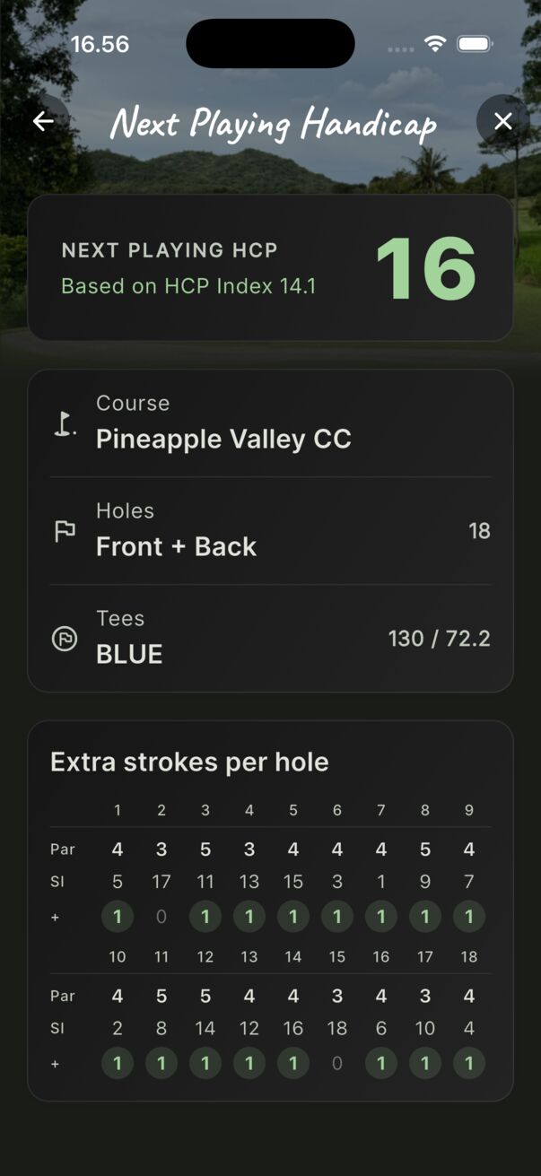 Strokes for the course and tees.